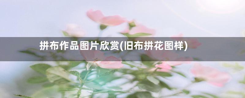 拼布作品图片欣赏(旧布拼花图样)