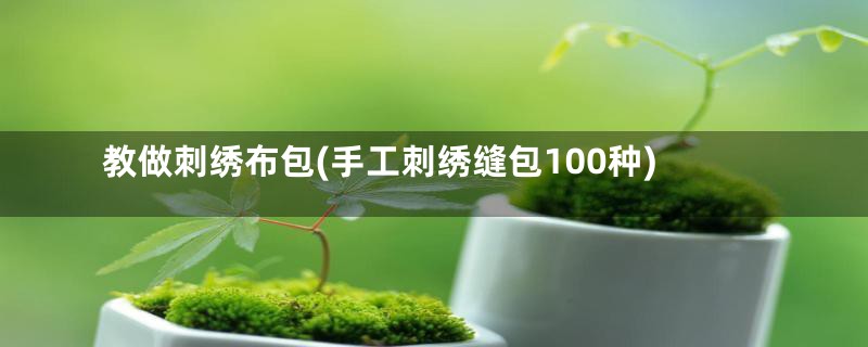 教做刺绣布包(手工刺绣缝包100种)